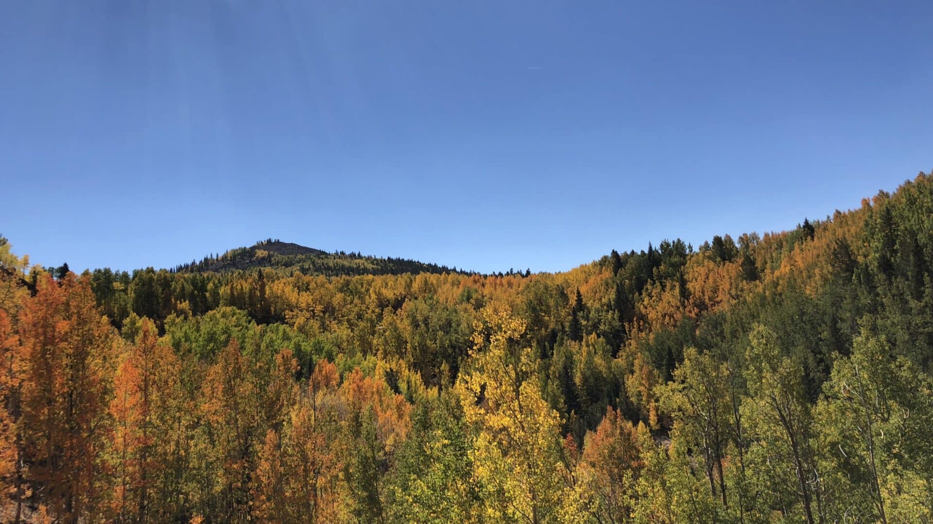 Fall in Colorado