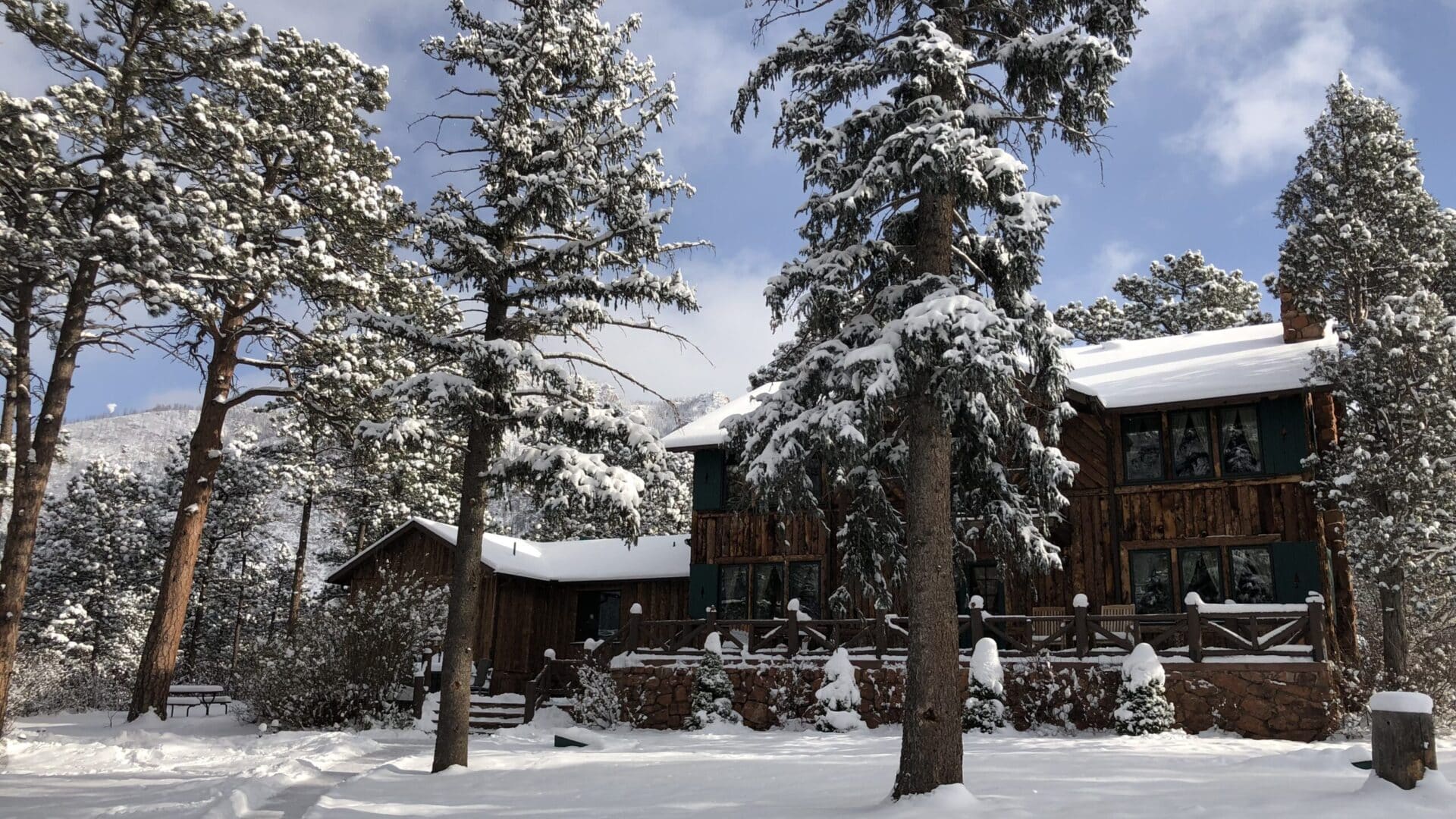 log lodge style home with pine trees and snow and blue and cloudy skies