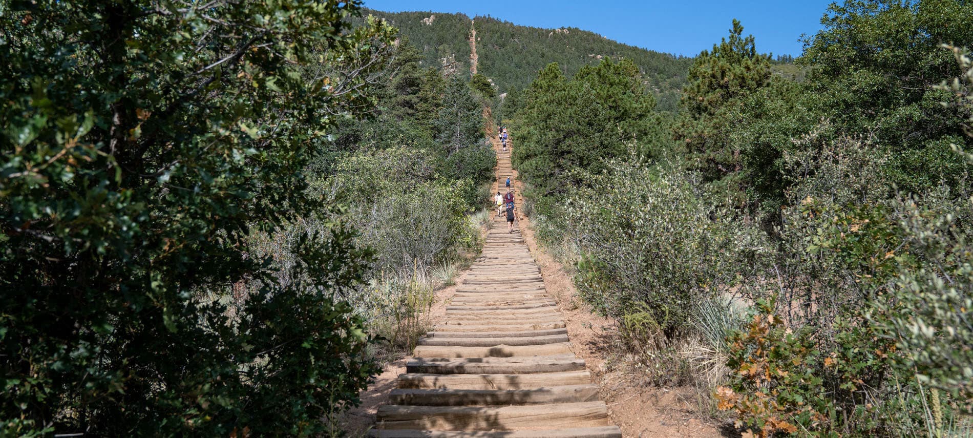 The Manitou Springs Incine