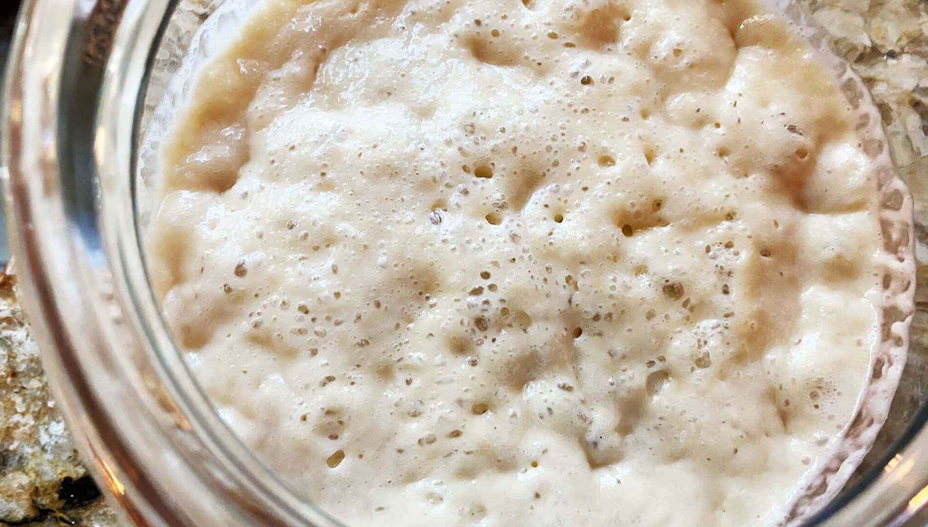 White bubbly fermenting liquid commonly known as sourdough starter