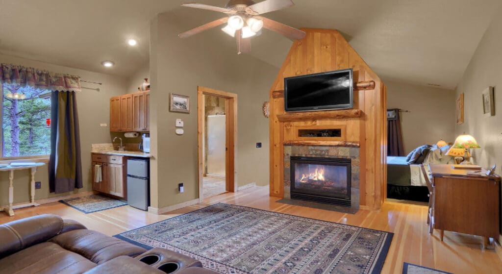 multi room open floor plan with a living room, fireplace, TV, kitchenette, and a bedroom.