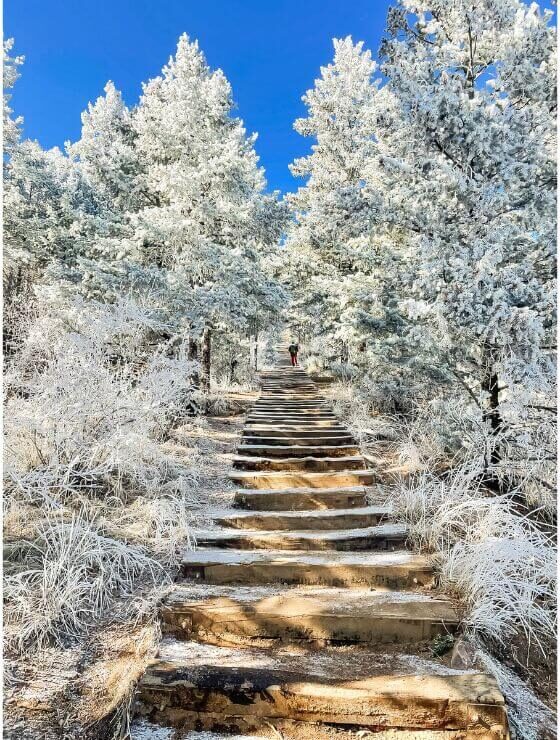 an uphill trail with railroad ties as steps, in between tall snow-covered pine trees.