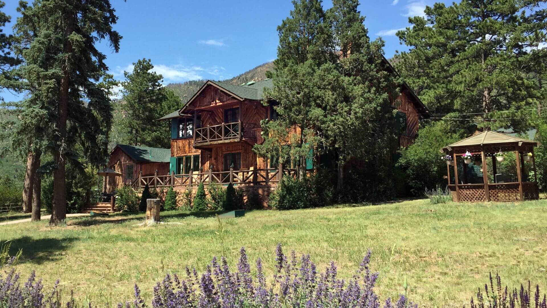 Large log sided lodge surrounded by pine trees, green grass, purple flowers, and blue skies